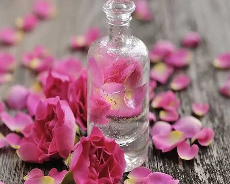 قیمت گلاب دو آتیشه + مشخصات بسته بندی عمده و ارزان