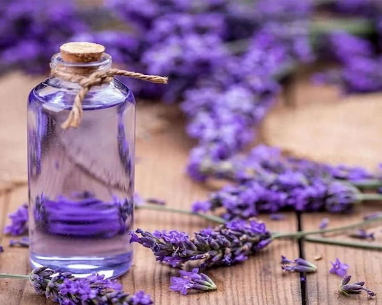 عرق گیاهی اسطوخودوس + قیمت خرید، کاربرد، مصارف و خواص