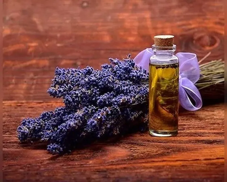 عرق گیاهی اسطوخودوس + قیمت خرید، کاربرد، مصارف و خواص